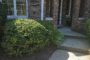 property gallery-image